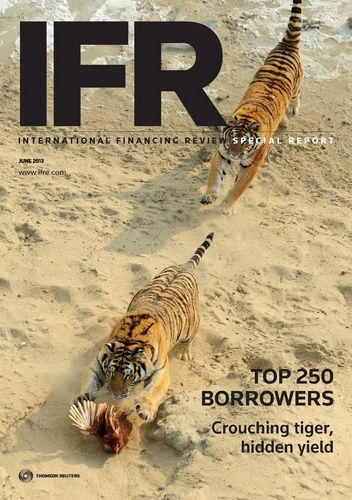 IFR Top 250 Borrowers Special Report 2013