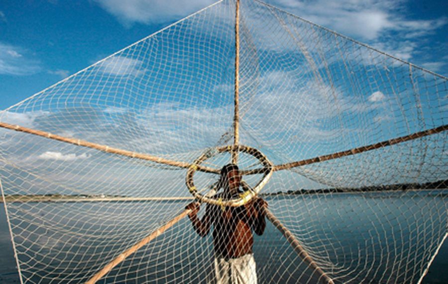 Fisherman casts his net in the waters of River Ganges in Allahabad 
