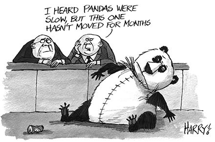 High hopes for the Panda bond market were dashed by a string of ‘fake Pandas’ from overseas Chinese companies