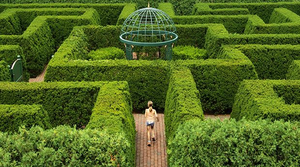 Seen from above, a girl runs through a hedge maze with a gazebo at the centre
