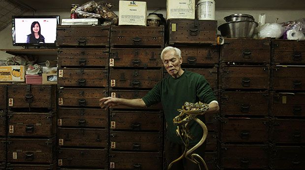 Snake shop owner Mak Tai-kong, holds snakes which were caught in mainland China, in front of wooden cabinets containing snakes, at his snake soup store in Hong Kong