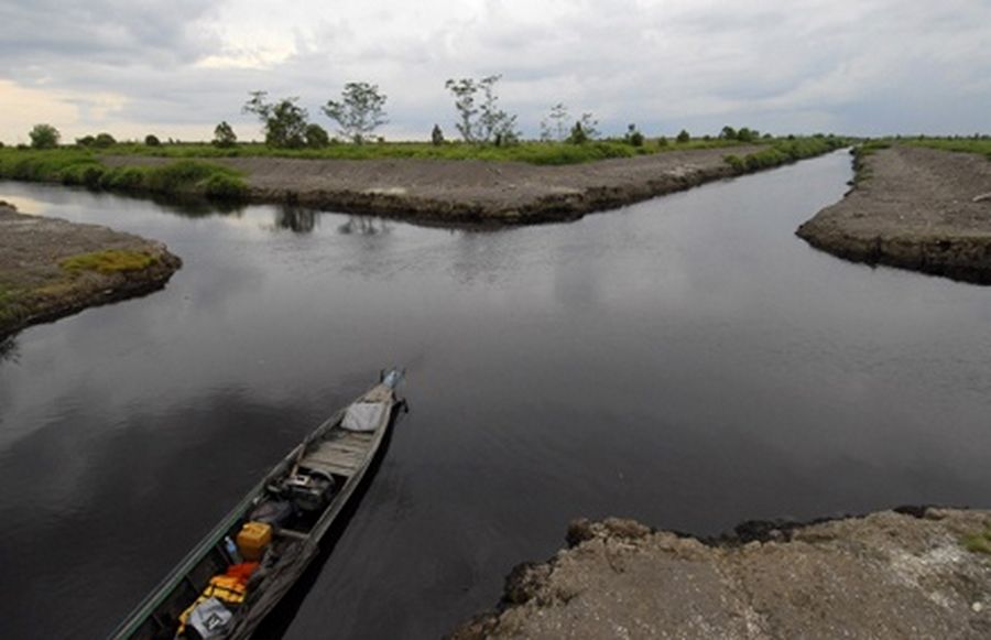 A view of drainage canals, which are supposed to be developed for farming, in a peat area in Mangtangai in Indonesia's central Kalimantan. 