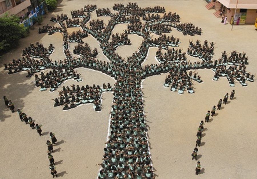 Students make a formation of a tree during a programme to create awareness to save trees and forests. 