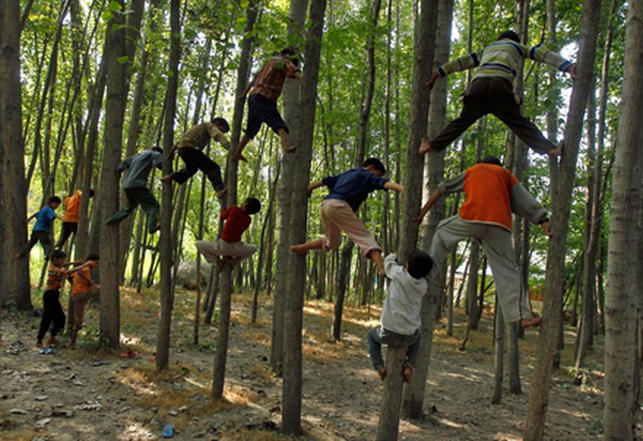 Children climb trees as they play on the outskirts of Srinagar 